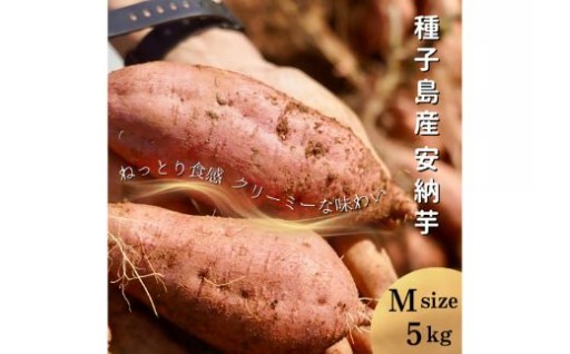 R8年産 めっかり申さんの種子島安納いも M ５ｋｇ！！