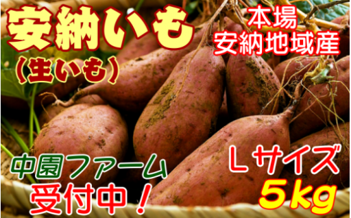 本場・安納地域産の【安納いも（生いも）Lサイズ】５ｋｇ！