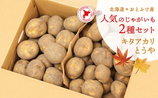 [先行受付] 北海道おとふけ産 人気のじゃがいも 2種セット「キタアカリ・とうや」合計9kg