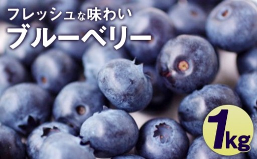 《 配送時期が選べる / 6月下旬 7月 8月 》 相良村産 ブルーベリー 1kg 