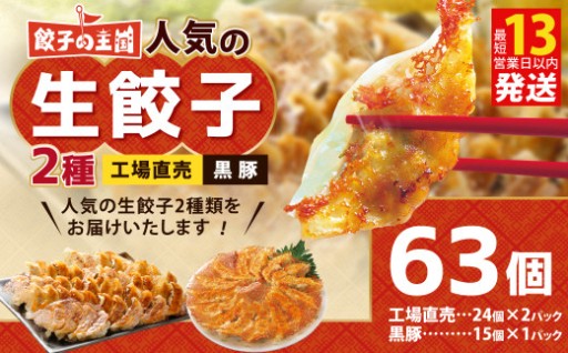 ＜ R8年熊本地震復興支援 ＞餃子の王国 人気の生餃子 2種 63個