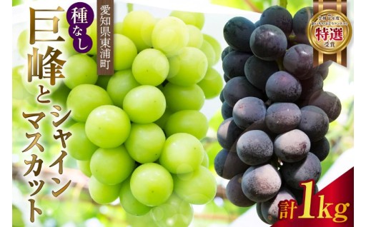 ✨東浦町産✨種なし巨峰とシャインマスカット(約1kg)🍇