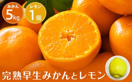 先行予約！柑橘セット