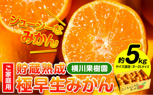🍊甘みと酸味のバランスがよい、極早生みかん