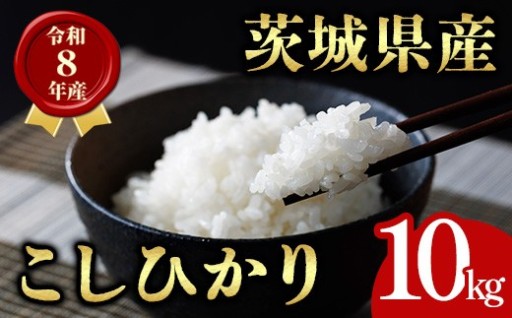 令和8年産 茨城県産 コシヒカリ 10kg 