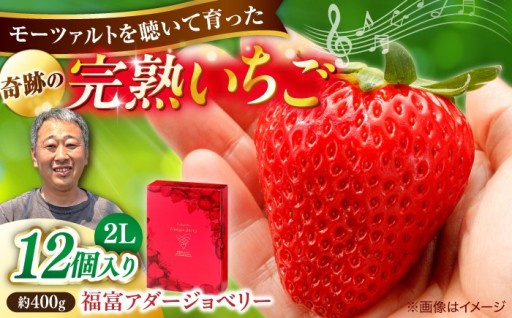＼先行予約／農薬不使用で育てた完熟いちご🍓✨