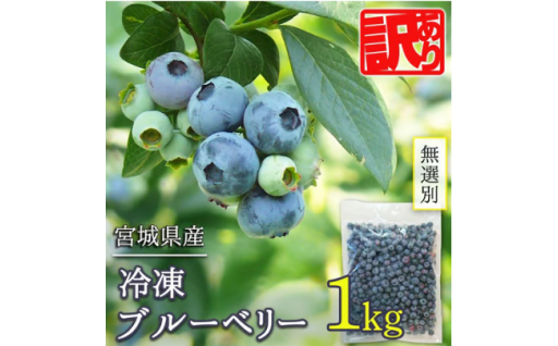 ≪ 訳あり≫ 無選別 冷凍ブルーベリー 1kg