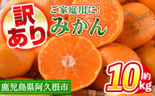 訳あり！鹿児島県産みかん(計約10kg)
