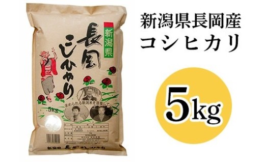 ★令和8年産🌾新米コシヒカリ🌾しっかりとした食感・甘みと強い粘り！