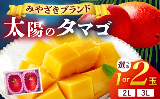 【国富町ふるさと納税】宮崎県産 太陽のタマゴ