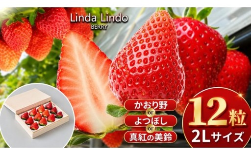 【先行予約】Linda Lindo BERRY 2Lサイズ 12粒 
