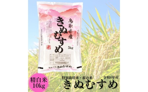 秋の収穫へ向けて、稲穂が実ってきています！！