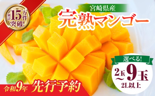 【先行予約】宮崎県産完熟マンゴー玉数が選べる