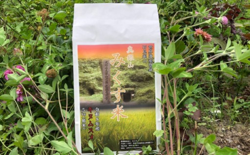 銀山の源流で育む新米！奥銀山きぬむすめ米5kg