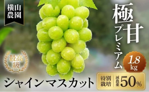特別栽培 減農薬 シャインマスカット 1.8㎏
