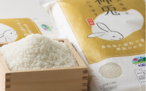 新米の季節！鳥取のおいしいお米特集