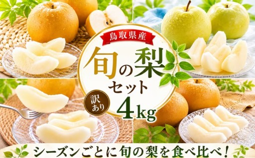 鳥取県産 旬の梨を味わう！訳あり梨4kgセット