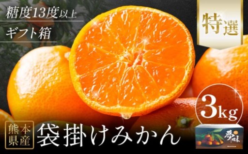 10年連続売り切れ！人気の袋掛けみかんがふるさと納税に新登場！