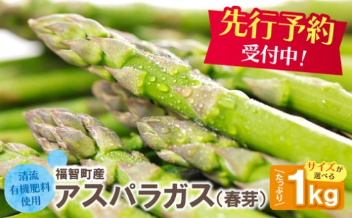✨シャキッと甘い！🌱春だけのごちそう！朝採り/春芽のアスパラ