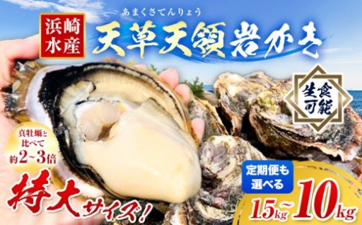 🦪 【2027年先行予約】ビッグサイズでぷりっぷり！天草天領岩かきが登場！