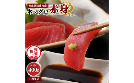 青森県深浦町産 天然本マグロ 赤身 400g 200g×2 