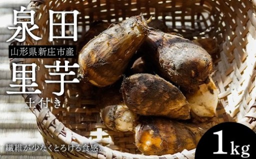 山形県新庄市産 泉田里芋（土付き）1kg