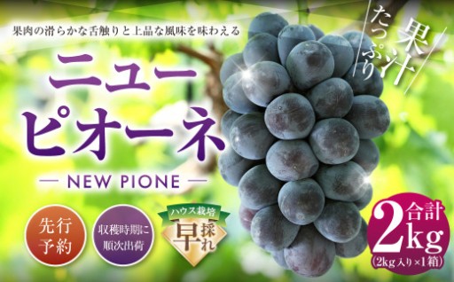 ニューピオーネ 2kg 早採れ（ハウス栽培） 【2027年7月上旬-7月下旬発送予定】