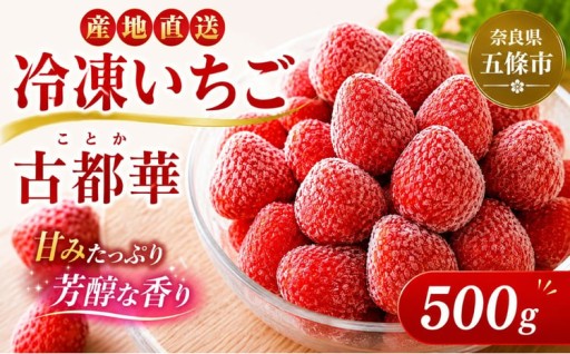 冷凍いちご 古都華 500g