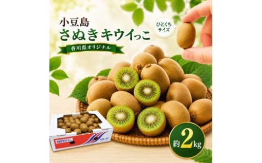 小豆島さぬきキウイっこ 約2kg