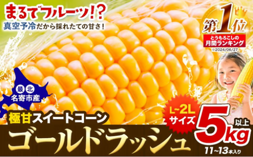 【2027年先行予約】メロン超えの甘さ！名寄産ゴールドラッシュ