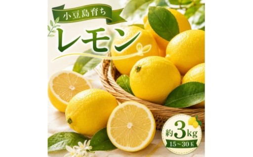 先行予約受付中！小豆島育ちのレモン 約3kg