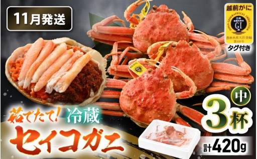 【茹でたて】希少地物セイコガニ🦀食通も唸る逸品✨