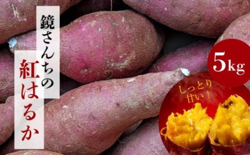 ＼秋の味覚を堪能🍂極上のしっとり「紅はるか」🍠／