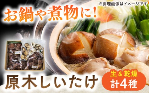秋の食卓を彩る、岐阜県白川町の原木しいたけセット