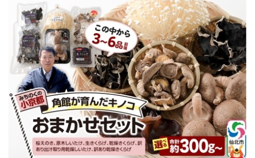 🍄きのこ詰合わせセット🍄