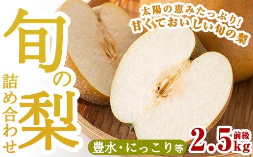 ＜期間限定！2026年8月中旬～10月上旬の間に発送予定＞梨詰め合わせ