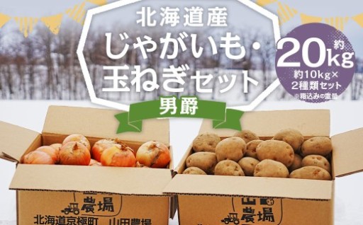 北海道産 じゃがいも 男爵 玉ねぎ セット M～2Lサイズ混載 各約10kg 合計約20kg