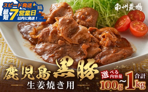 【スピード発送】鹿児島県産 黒豚生姜焼き（選べる内容量・100g～1kg）