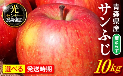 りんご 葉とらず 10kg 程度 サンふじ 【選べる配送時期】 