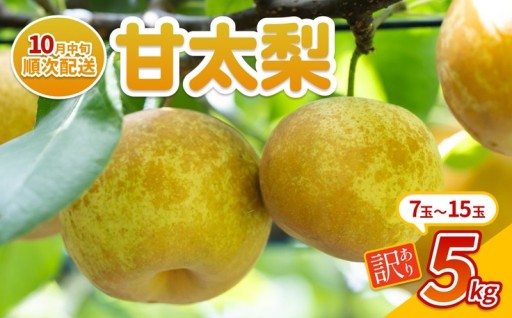 【先行予約】甘くて大きい『甘太梨』🍐
