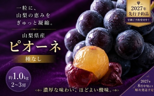 来年の旬を先取り。種なしピオーネ先行予約開始