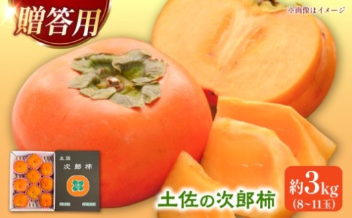 ＼先行予約／贈り物に！甘みが自慢の袋掛け次郎柿