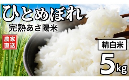 地元産直で大人気のお米です！【 新米 】 完熟あさ陽米 (精白米) 5kg