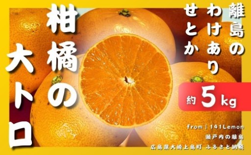 ＜先行予約＞瀬戸内せとか（訳あり）