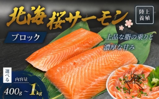 北海桜サーモンのブロック・お刺身スライス・半身切り身を返礼品ラインナップに追加しました！