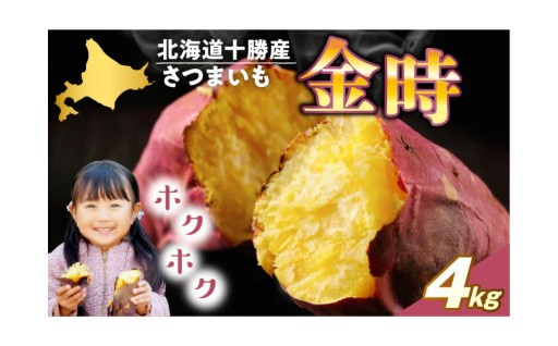 【🍠北海道芽室町🍠】ホクホクの食感と上品な甘さで根強い人気✨さつまいも「金時」