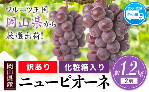 🍇旬の味覚！岡山県産 訳ありニューピオーネ 約1.2kg
