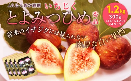 JAふくおか嘉穂 いちじく とよみつひめ 秀品 300g（3～5玉）×4パック