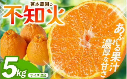 【数量限定】不知火 笹本農園の不知火 約5kg