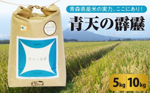 【選べる内容量【令和8年産米】【先行受付】米 青天の霹靂 5kg または 10kg 特別栽培米 青森県産